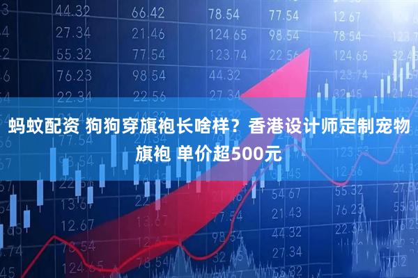 蚂蚊配资 狗狗穿旗袍长啥样？香港设计师定制宠物旗袍 单价超500元